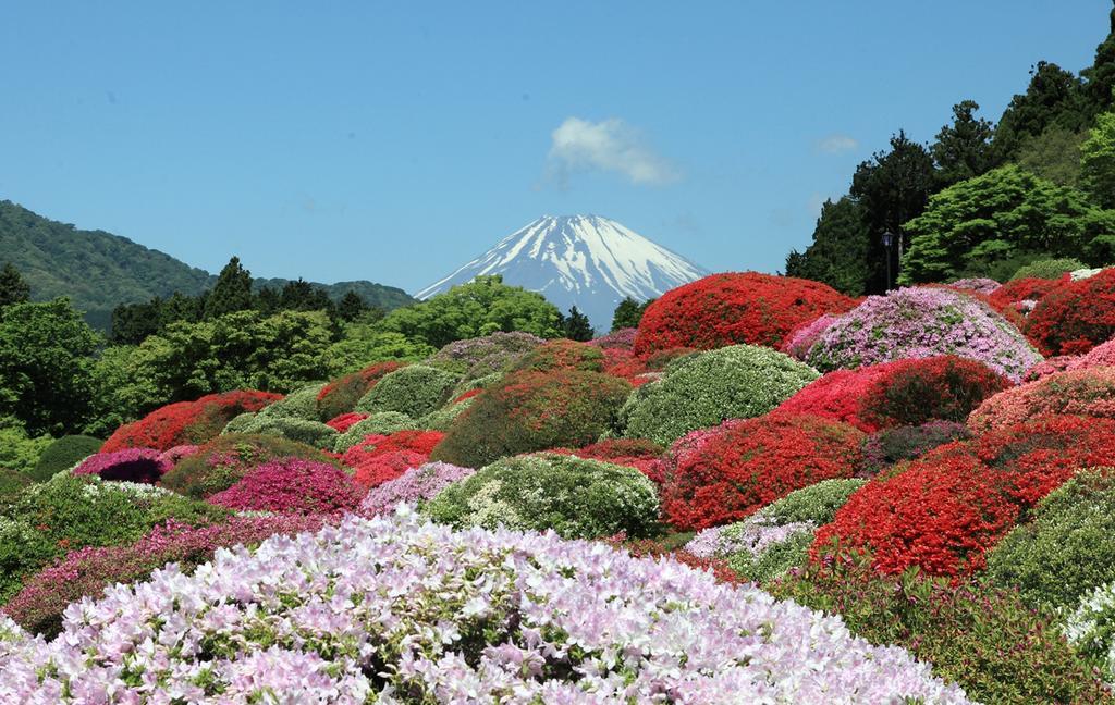 Suikoukan Hakone Exterior foto